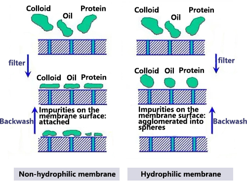 Hydrophilic membrane&Non-hydrophilic membrane